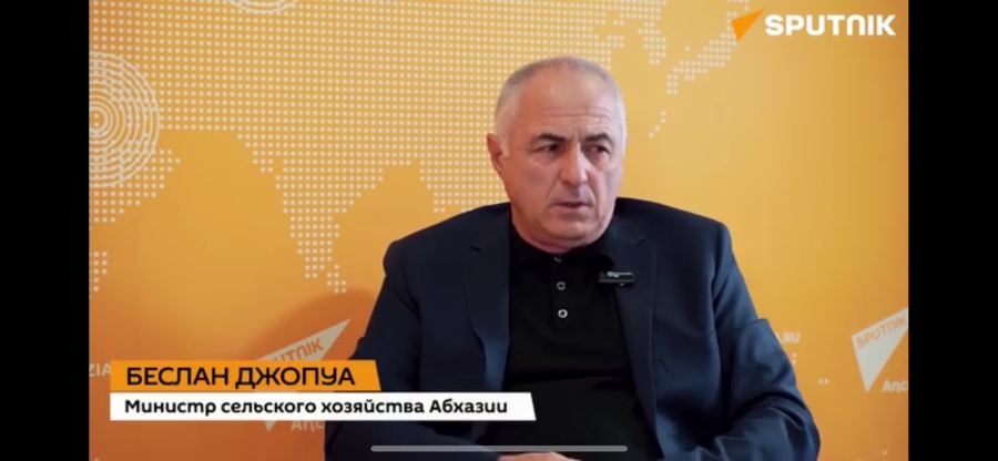 Сельское хозяйство - одно из приоритетных направлений в экономике республике.