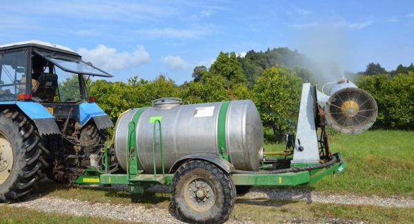 Аграрии Гулрыпша обработали цитрусовые плантации от мраморного клопа