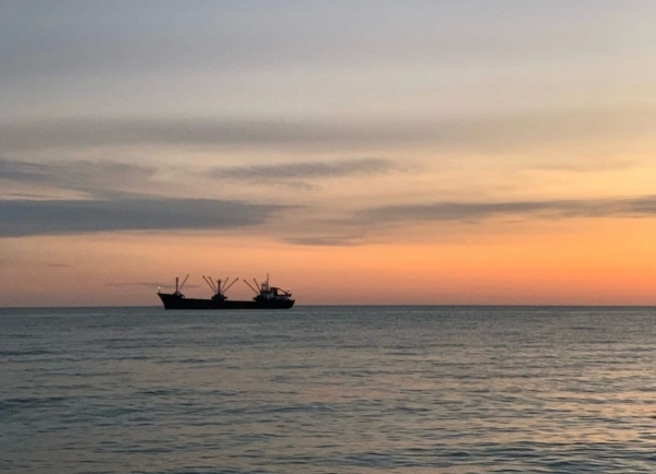 Девять юридических компаний получили квоты на лов хамсы