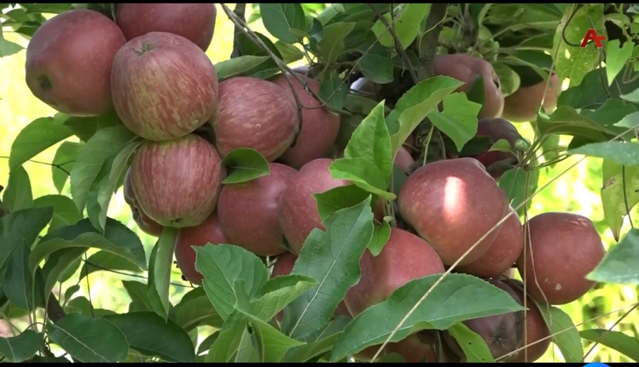 Поездка министра в Гудаутский и Гагрский р-ны