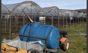 «Ягодное поле» в селе Гумста