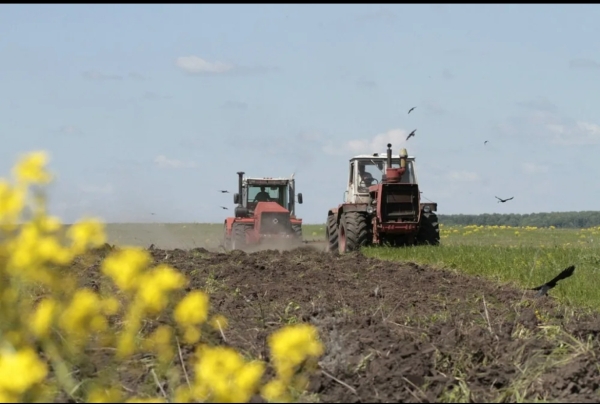 Весенне-полевые работы