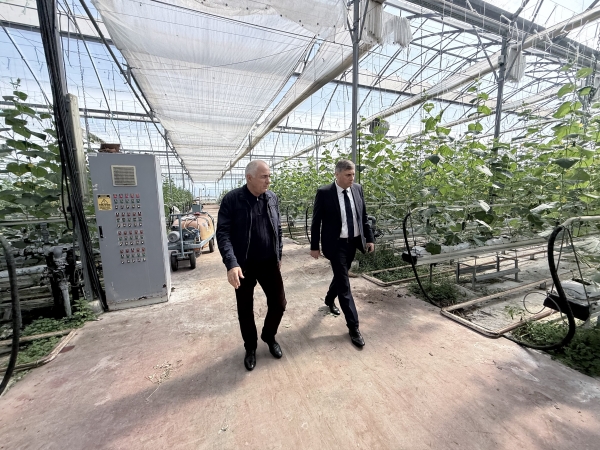 Вице -премьер и министр сельского хозяйства посетили сельхоз предприятия