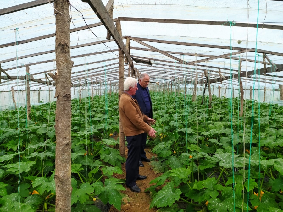 Первый вице-премьер, министр сельского хозяйства Беслан Джопуа посетил ферму по выращиваю томатов и огурцов в Гудаутском районе.