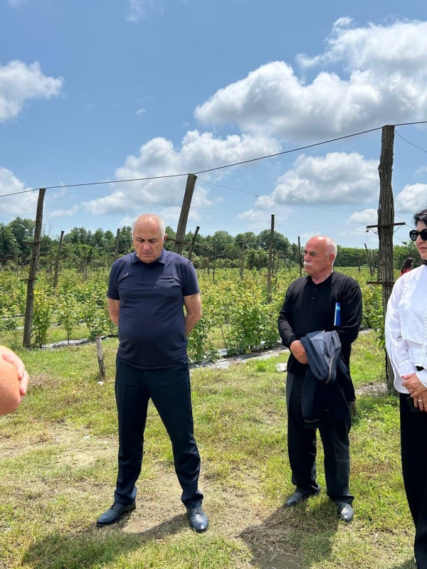 Поездка министра Беслана Джопуа в Гулрыпшский район Абхазии: импульс развитию сельского хозяйства