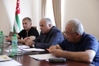 Беслан Джопуа провел встречу с представителями ПРООН