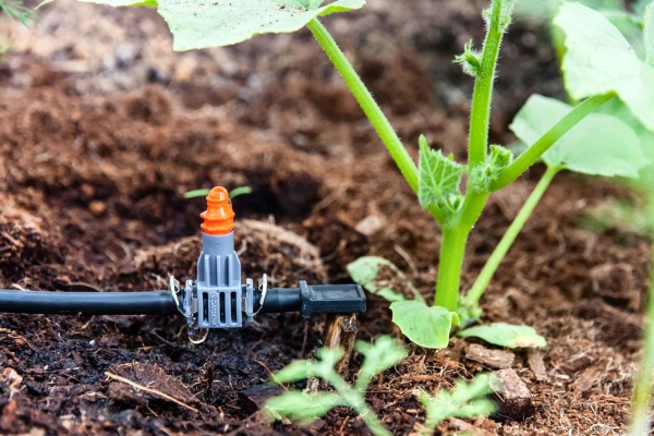 Министерство сельского хозяйства объявляет открытый конкурс