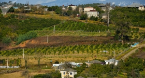 В Минсельхозе Абхазии рассказали об ущербе в связи с наводнением в республике