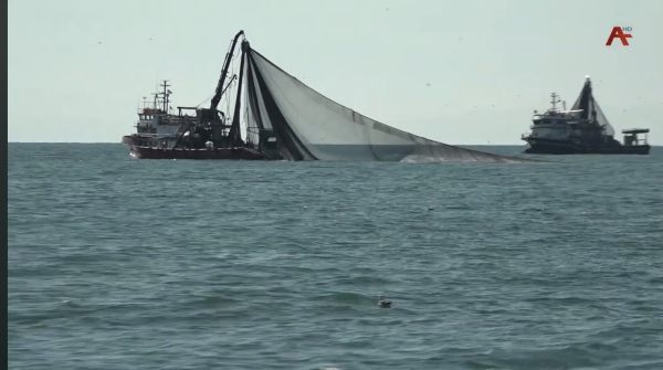 Зимне-весенняя путина рыбы