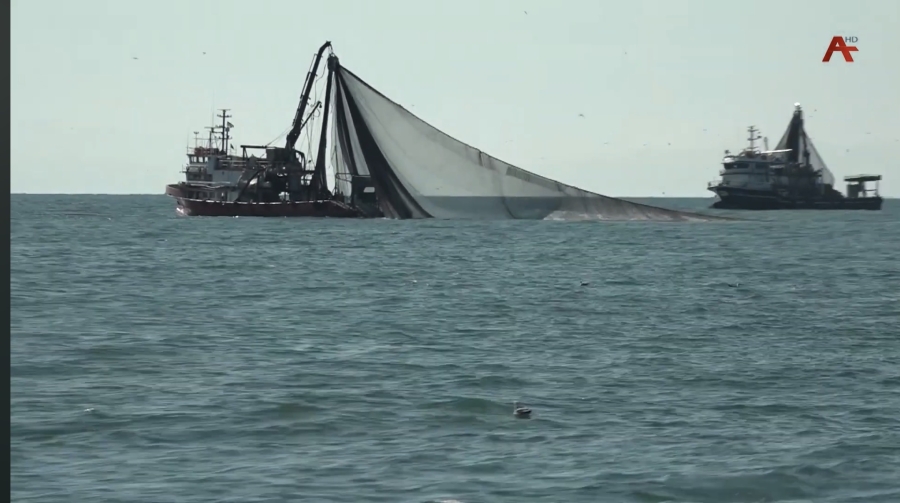 Зимне-весенняя путина рыбы