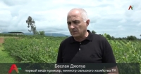 Первый Вице- премьер, министр сельского хозяйства Республики Абхазии Б.Джопуа совершил инспекционные поездки по хозяйствам участников ведомственной целевой программы «Развитие сельского хозяйства в 2022 году» (ВИДЕОРЕПОРТАЖ)