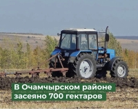 В Очамчырском районе засеяно 700 гектаров